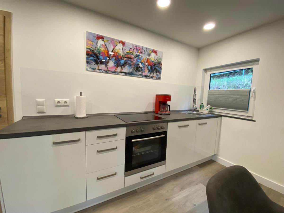 Haus Am Iberg 4 Apartman Willingen  Kültér fotó
